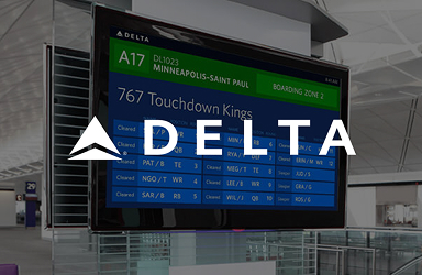 delta airline