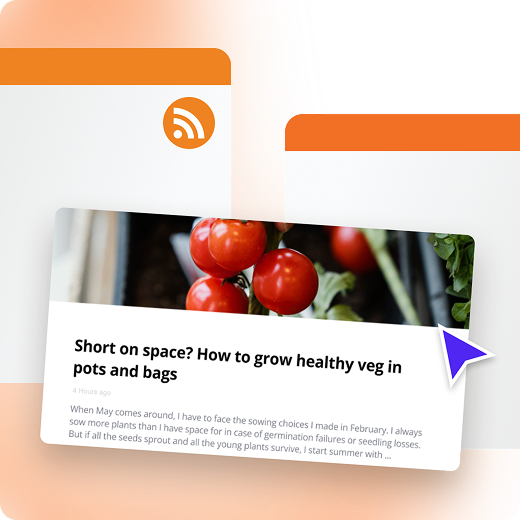 Custom RSS App